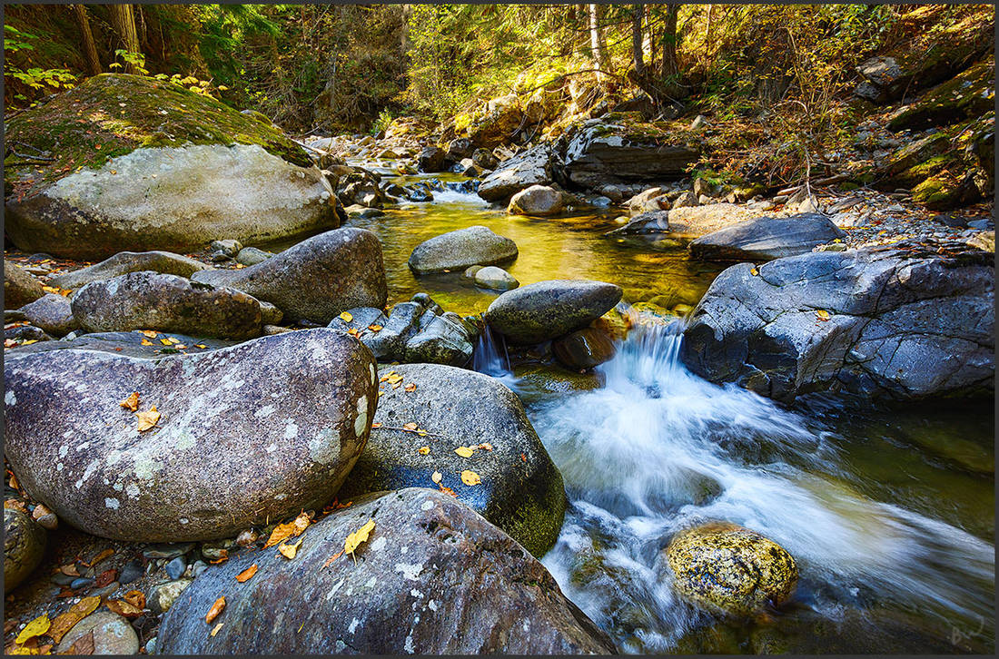 Corn Creek Gold by kootenayphotos