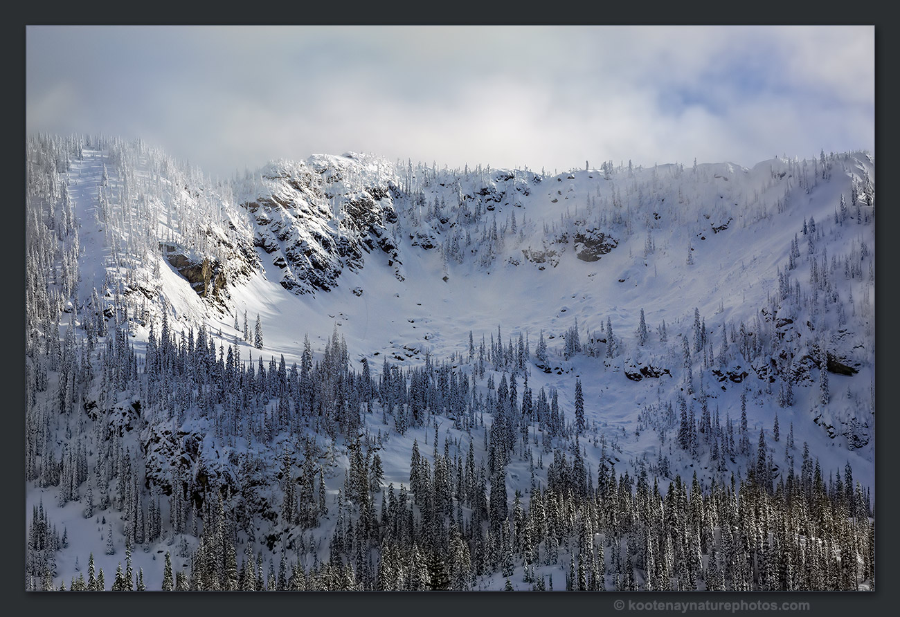 Winter 1 by kootenayphotos