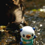 Oshawott - 4