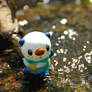 Oshawott - 5