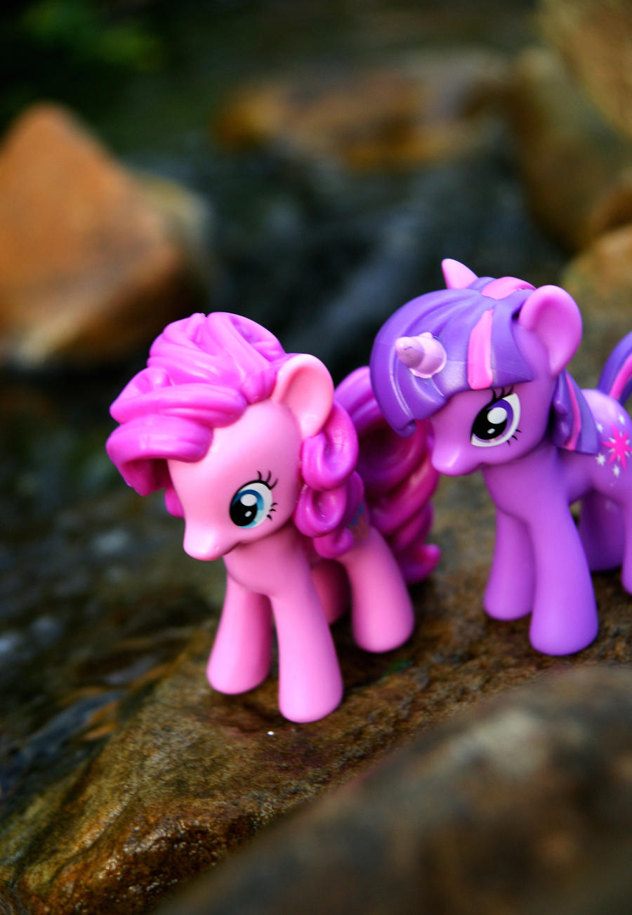 Pinkie Pie and Twilight