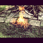 By the Fire.. by xXJenny-ChanXx