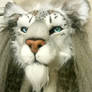 Complete HEAD - Barbary Lion/Snow Leopard Hybrid