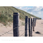 summer season by MorkOrk