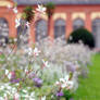 walk through the orangery