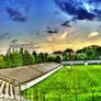 Stadium - HDR Panorama-1yr dev