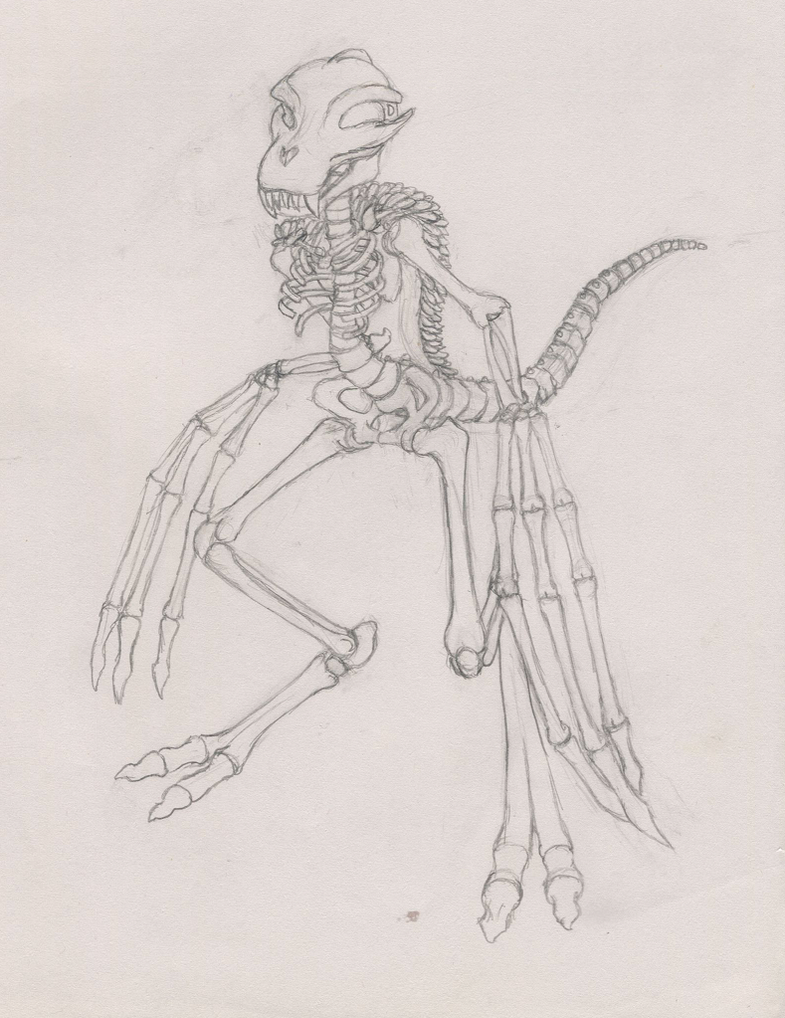 Skull beast by dinshino on DeviantArt
