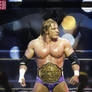 Triple H World Heavyweight Champion 