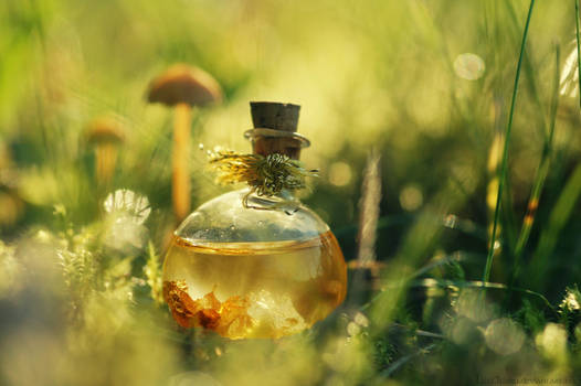 Magical little World...