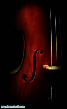 my cello