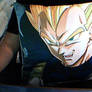 My Vegeta pillow