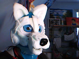 Furhead wip 2