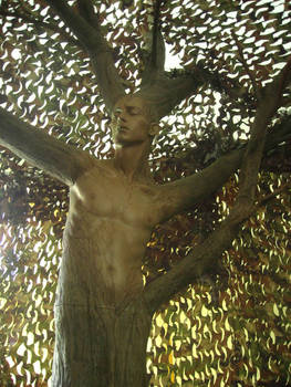 Dryad of the woods