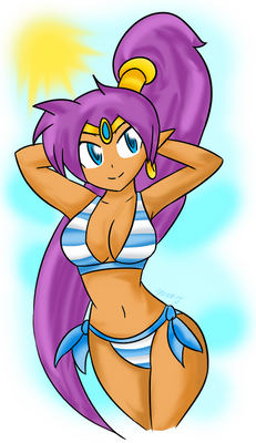 Shantae's Steamy Summer