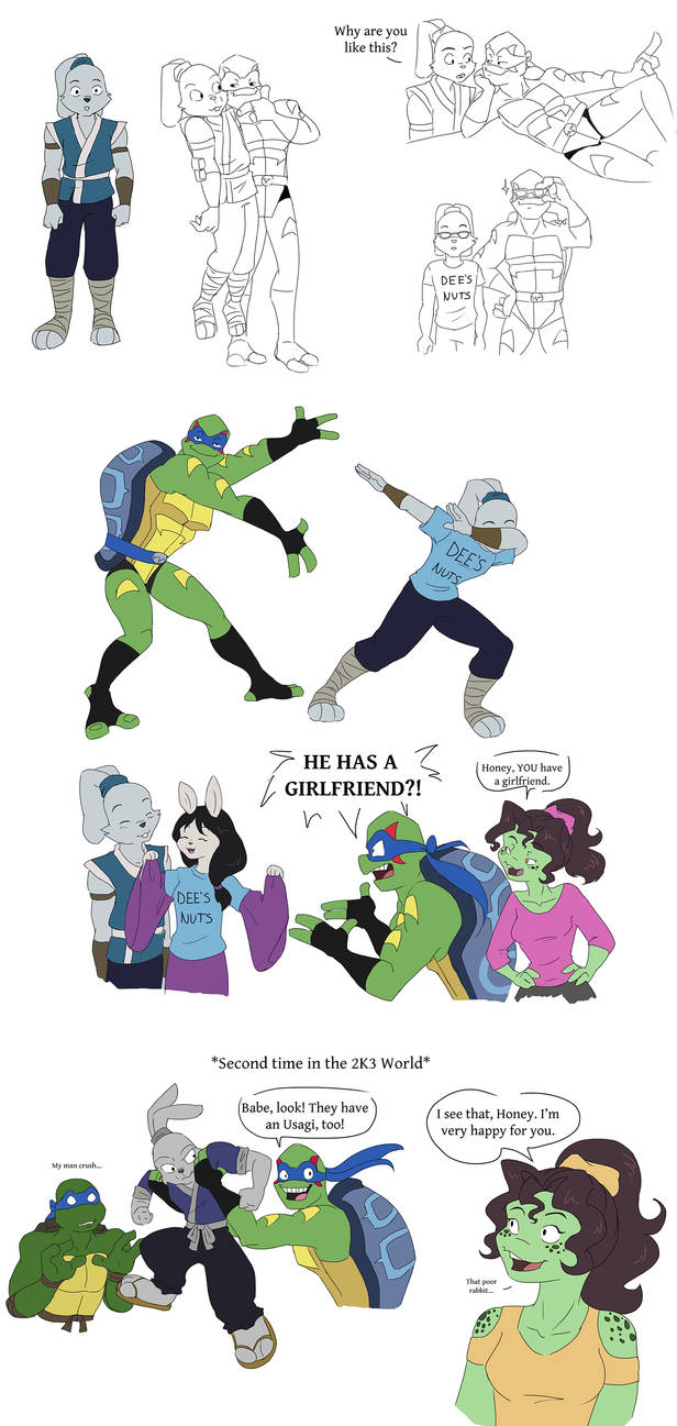 ROTTMNT: Leo and Usagi by Ty-Chou on DeviantArt