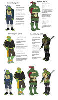 Ninja Turtles: Brotherhood Char Bios
