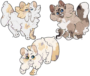 Chibi Litter | OPEN