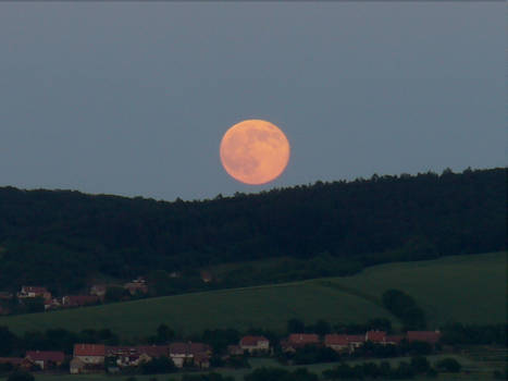 Strawberry minimoon 2017 rising