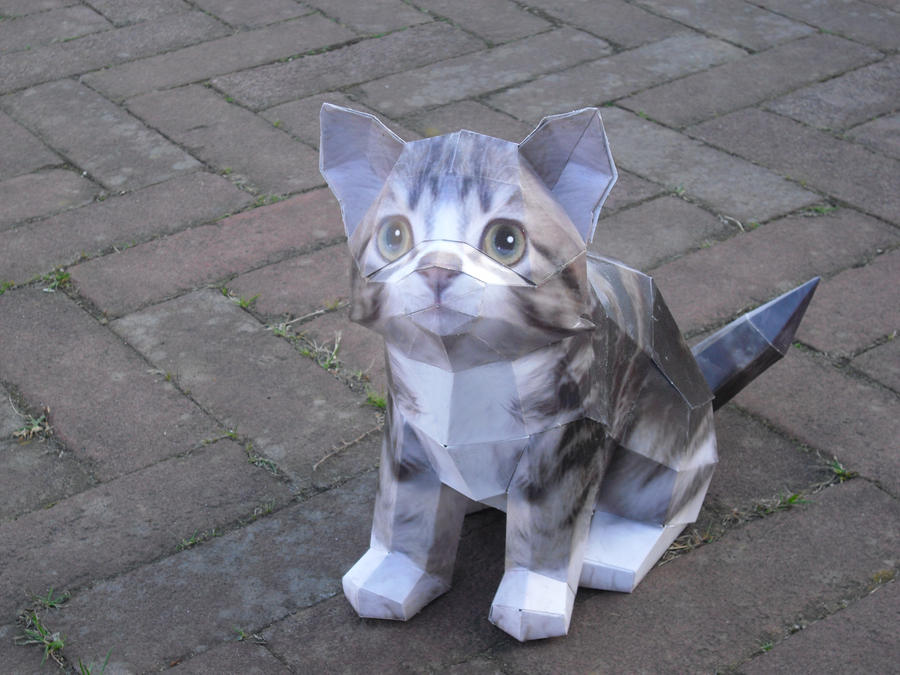 Cat papercraft by TimBauer92 on DeviantArt