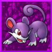 Rattata by SuperMarioBrosWii on DeviantArt