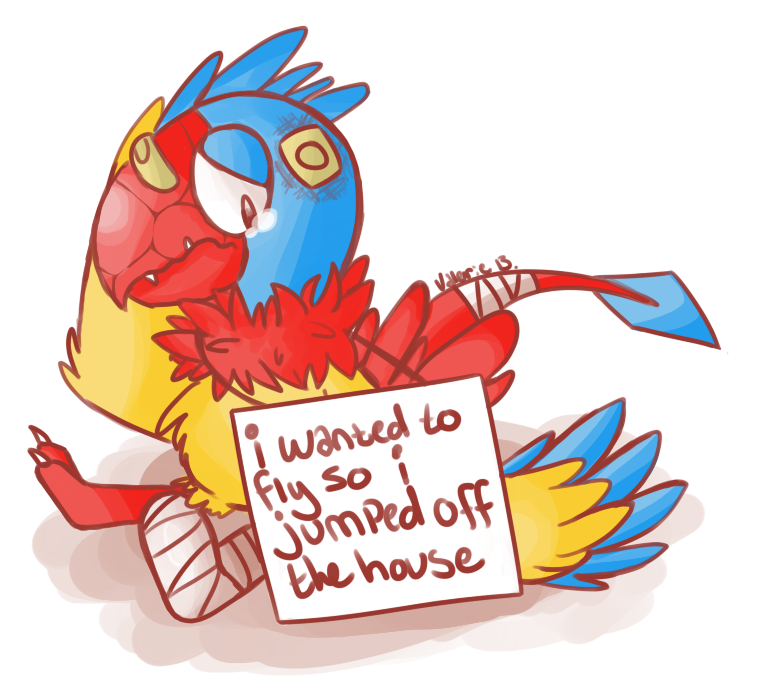 pokemon shaming