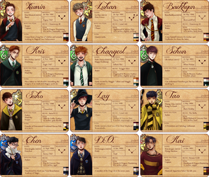 EXO-Hogwarts Profile Cards