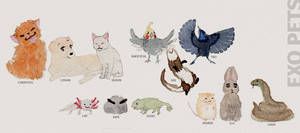 EXO Pets