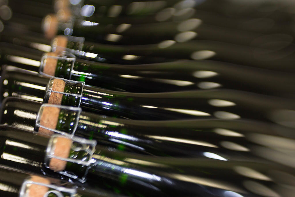 Champing at the Bit by Cannabrit on DeviantArt