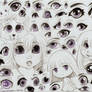 Many Kinds of Eyes