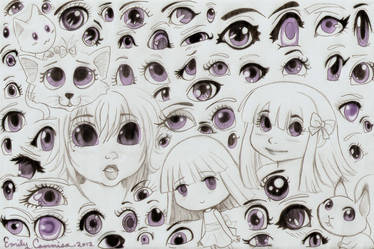 Many Kinds of Eyes