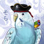 Sky the Budgie Pirate Colored (non-anime)