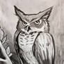 Ink Practice - Owl