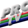 Pro TV 1995 (3D) Recreation logo
