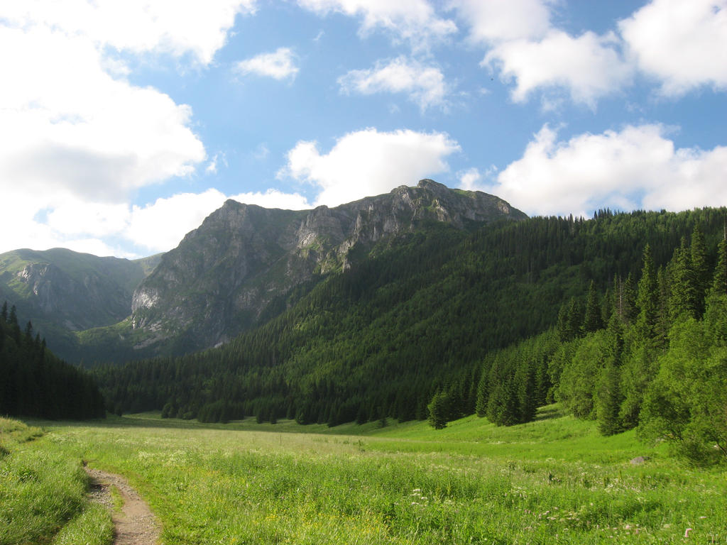 Valley in the Tatra Mountains