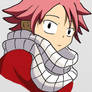 Natsu kid