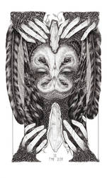 II The Seer- Illusions Tarot