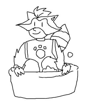 Raccoon bath