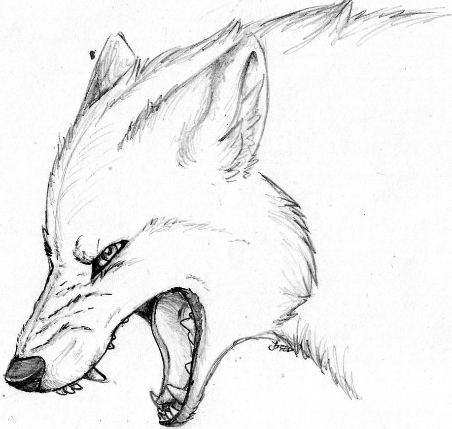 Легкий эскиз карандашом. Рисунок волка для срисовки. Красивые рисунки карандашом. Эскизы карандашом. Рисунки Волков для срисовки.