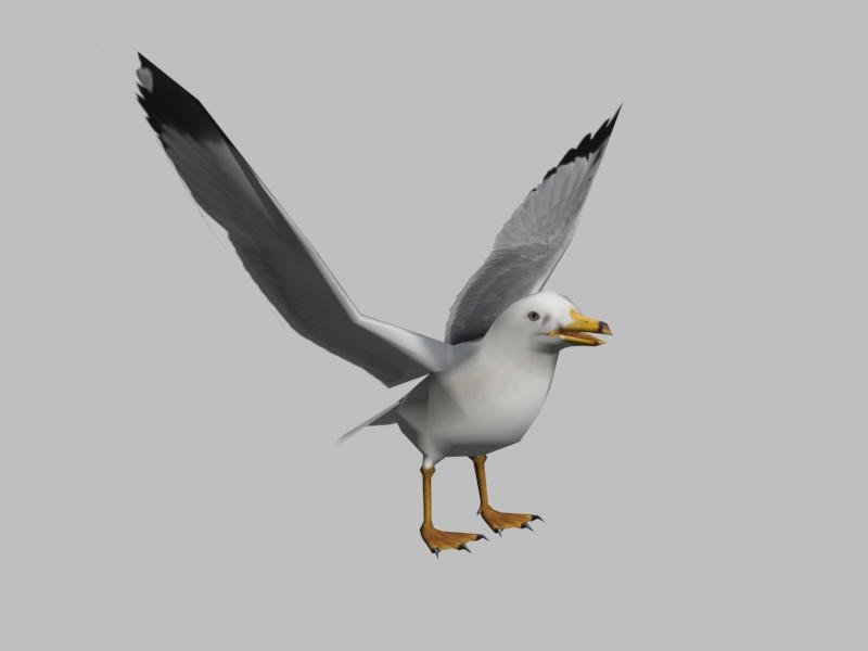 UNITY BIRDS - SEAGULL by 3designart on DeviantArt