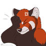 Red panda facepaw