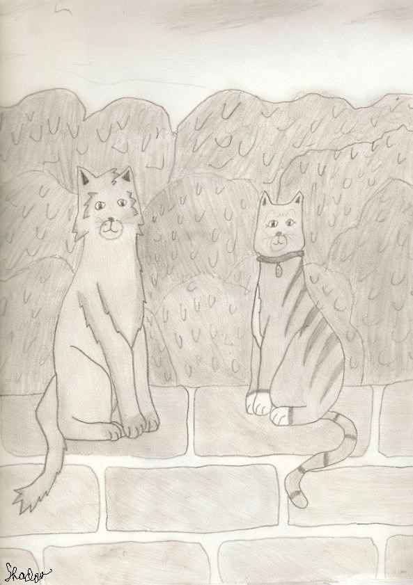 Graystripe and Millie