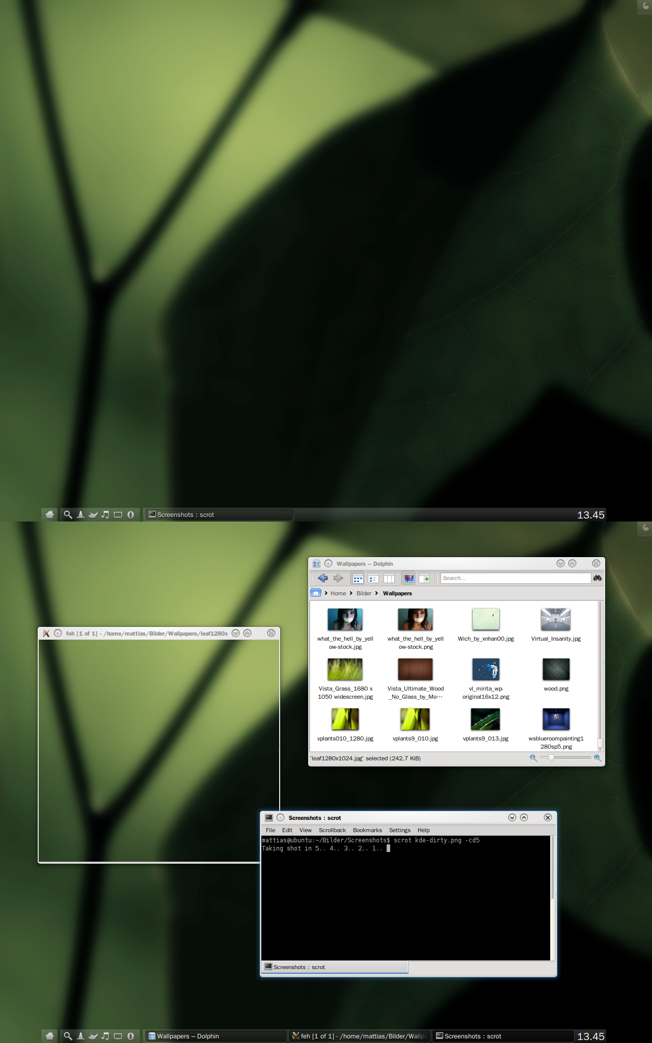 Ubuntu sKreenshot 2010-01-20