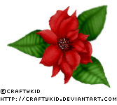 Poinsettia 2 - Red