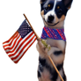 Craftykidai Dog With Flag