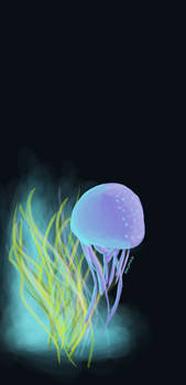 Jellyfish