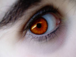 Eyes color orange