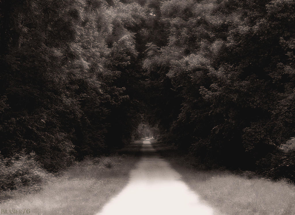 Dark Path by Brasier76 on DeviantArt