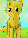 An apprentice of Thunderclan by bigsonicfanandN