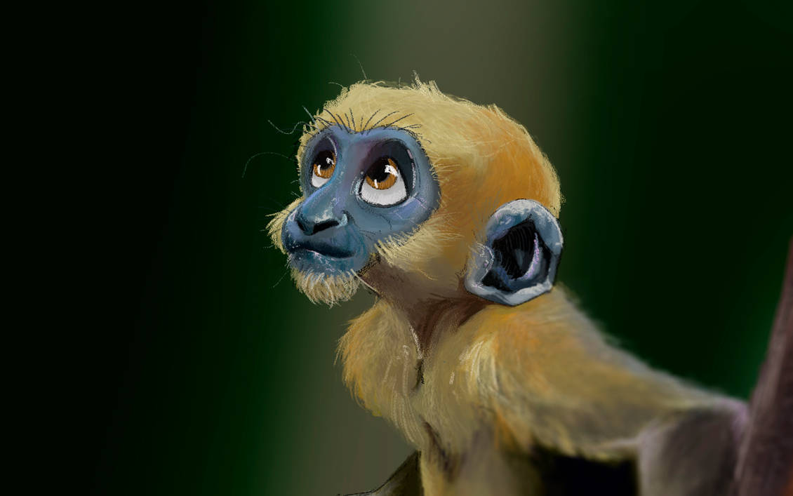 Spider Monkey Deviantart Spider Monkey by BrendanMcCarthy2hp on DeviantArt