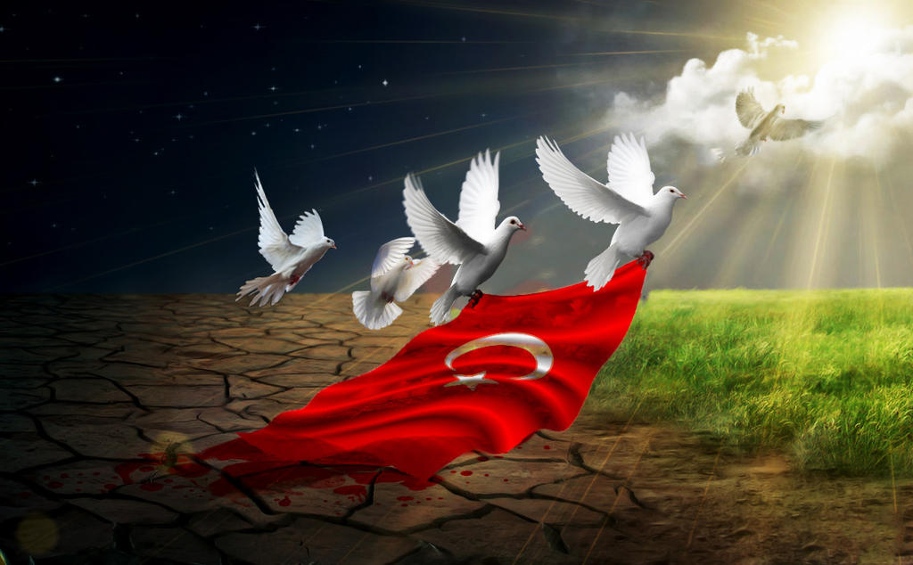 Turk Bayrak Turkiye Turkey By Burakerdal On DeviantArt turk-bayrak-turkiye-turkey-by-burakerdal-on-deviantart